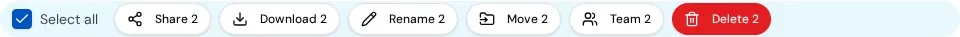 Bulk action bar with Select all checked and Share 2, Download 2, Rename 2, Move 2, Team 2 and Delete 2